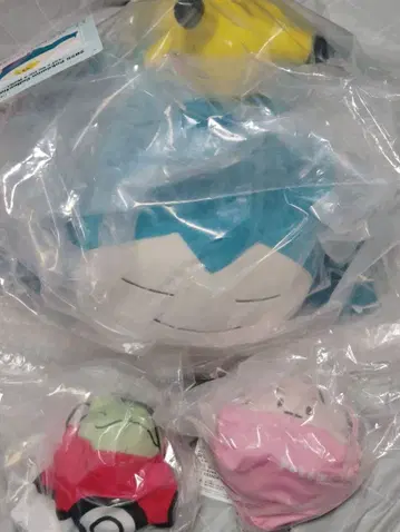 2025 포켓몬 컬렉션 복권 B상 E상 (2종) 세트