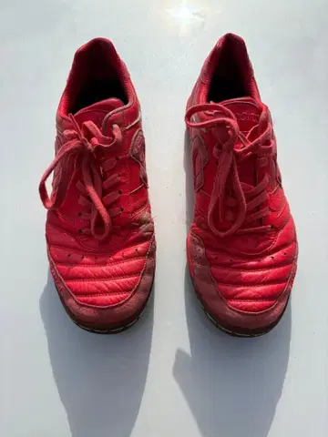 데스포르치 별주 칸피나스 터프 26.5cm