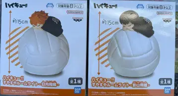 하이큐!! 스야스야 룸 라이트 히나타 쇼요 카게야마 토비오