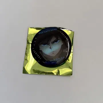 귀멸의 칼날 무한성편 이야기가 담긴 눈빛 A 캔뱃지 토미오카 기유