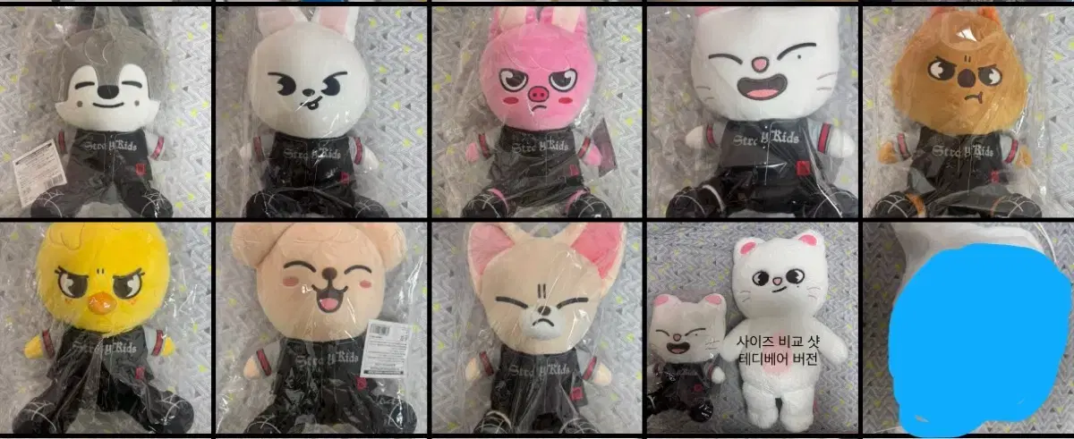 SKZ DOMINATE Japan MD