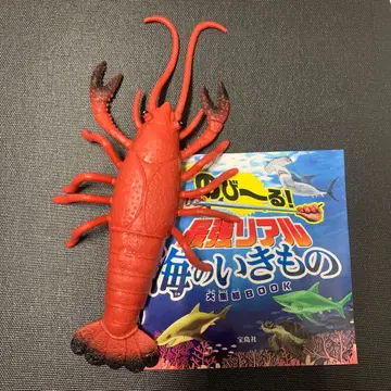 랍스터 타카라지마샤 늘어나는 최강 리얼 바다의 생물