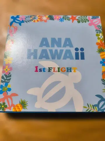 ANA HAWAii 플라잉 호누 키링 세트