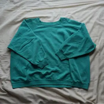 [ used ] Hanes sweat