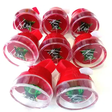 스타라이 8th 하스미 케이토 린 라이 8개 세트