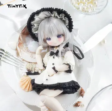 TinyFox 미스 오이스터 웨스테 풀세트