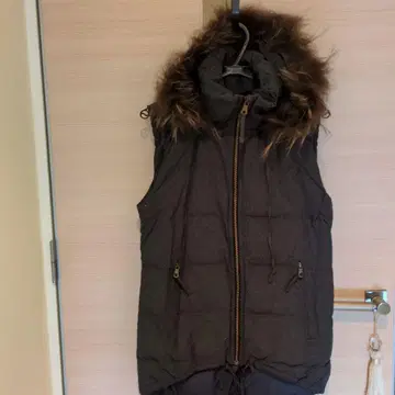 플라스테 퍼 달린 다운 베스트