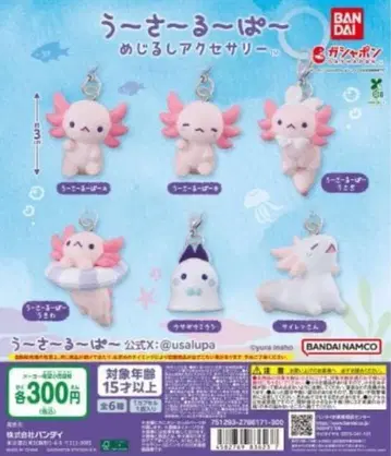 우사루파 메지루시 액세서리 전 6종 세트