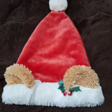 디즈니 산타클로스 더피 모자 크리스마스