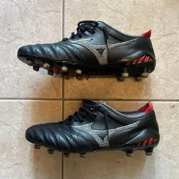 모렐리아 네오 III 27.5