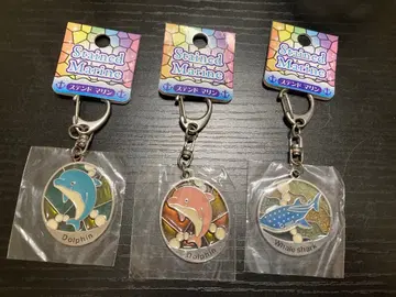 Stained Marine 돌고래 진베이 상어 키링 세트