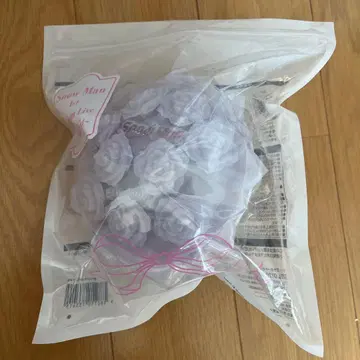 SnowMan 1st Stadium Live 응원봉