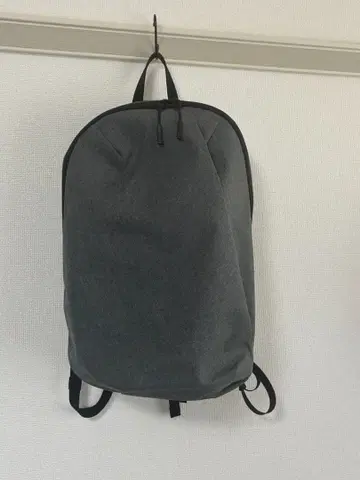 웩슬리 STBP 스템 백팩