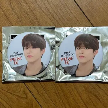 treasure PARK JEONG WOO PULSE ON 배지 2개