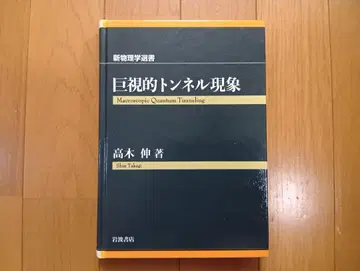 거시적 터널 현상 타카기 신 저