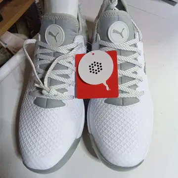 푸마 Puma 골프화 프로 어댑트 알파 캣 27.0cm