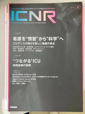 ICNR Vol.17 No.3