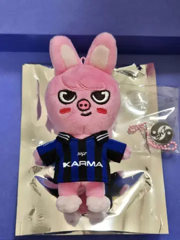 Straykids SKZOO VER 키링 돼끼 창빈