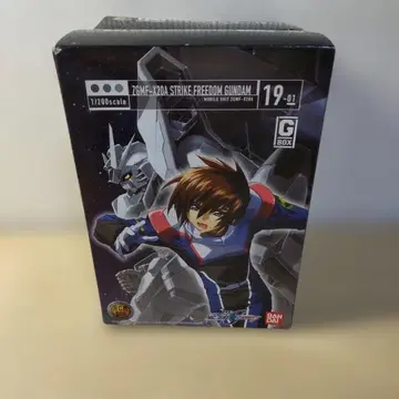 1/200 스트라이크 프리덤 & 데스티니 건담 세트