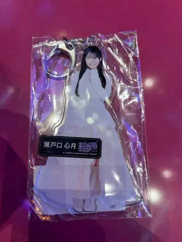 세토구치 신게츠 노기자카 아크릴 키링 신참자