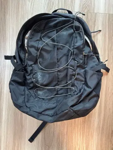 Patagonia 레퓨지오 데이팩 30L