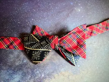 브룩스브라더스 나비 넥타이 결혼식 참석, 크리스마스 차림에.