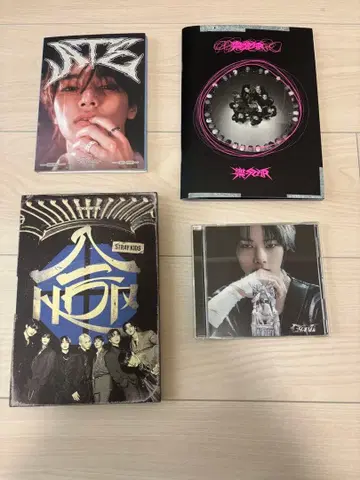 stray kids 스키즈 앨범 세트 묶음 판매