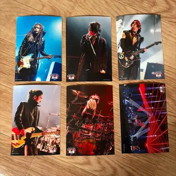 LUNA FEST.2025 LIVE SHOT 훼미리마트 LUNA SEA