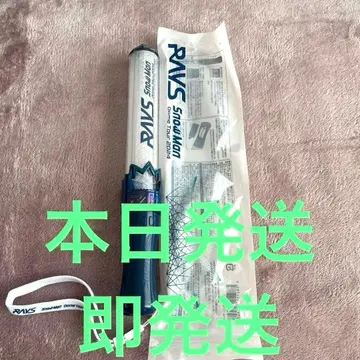 SnowMan RAYS 돔 투어 2024 응원봉