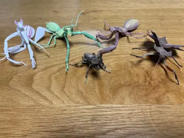 생물대도감 사마귀 가챠가챠