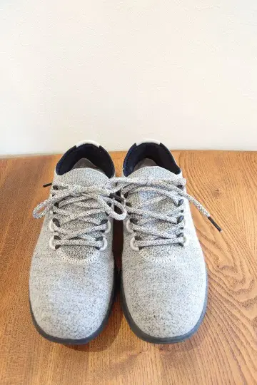 allbird 올버즈 울 대셔 2 미즐