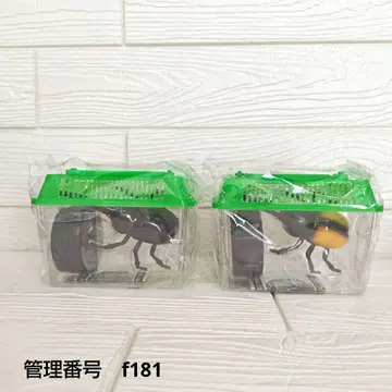 적외선 컨트롤 장수풍뎅이 사슴벌레 세트 곤충 무선 조종 완구