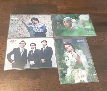 Mrs.GREEN APPLE 오오모리 모토키 7장 세트