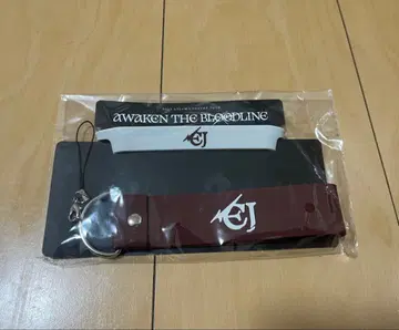 &TEAM 라이트 스틱 데코 세트 EJ