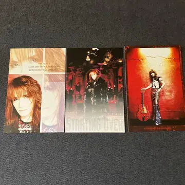 THE ALFEE 타카미자와 토시히코 님의 엽서 세트