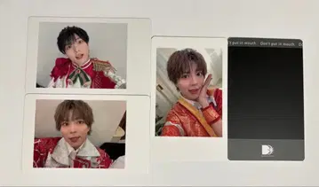 팬더드래곤 팟치 하피카