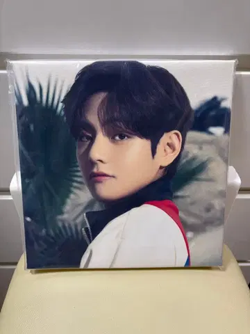 BTS 더 베스트 전시회 한정판 사진 캔버스 (V)