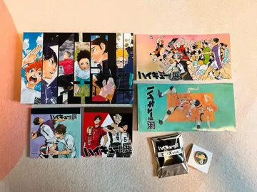 하이큐!!전 티켓 특전 박스, 상품 핀즈 세트