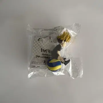 하이큐!! 푸치토 노리마스 미야 오사무