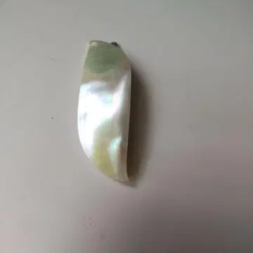 조개 머리핀(바레타)