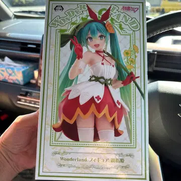 Wonderland 하츠네 미쿠 피규어