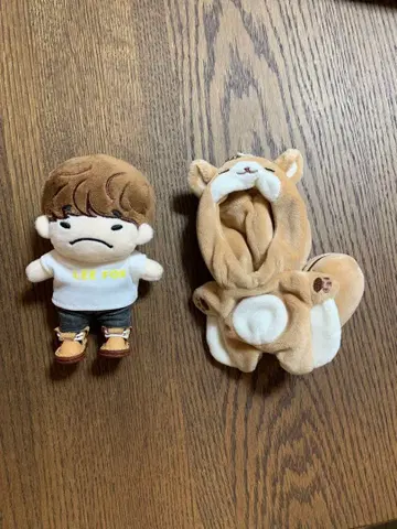 2PM 준호 이프니 10cm