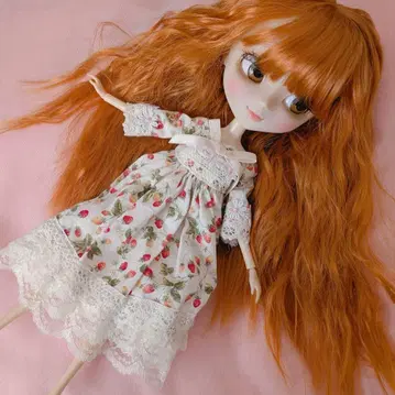 인형 아웃핏 풀립 브라이스