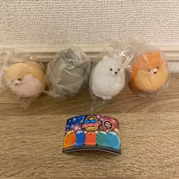 파아리 포메 라이트 4종 세트