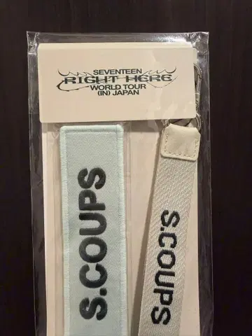 SEVENTEEN 에스크 RIGHT HERE 와펜&스트랩