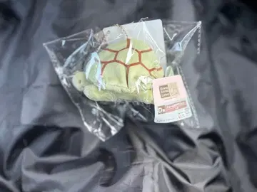 다이토 복권 브루나 애니멀 D상 참 마스코트 거북이