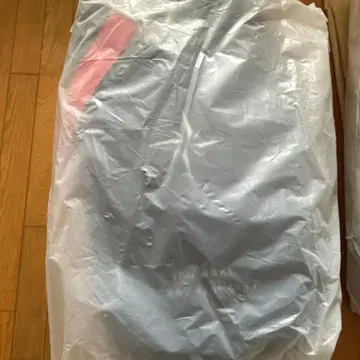 straykids 응원봉 케이스