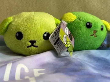 콩시바 큐큐 인형 2개 세트 종이 택 포함