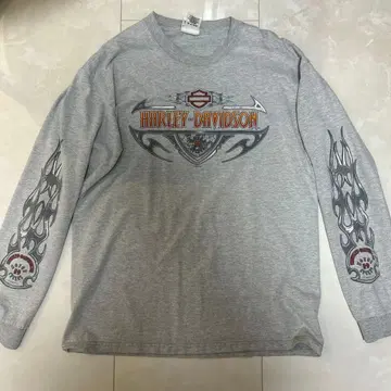 Harley-Davidson 할리 롱티