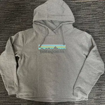파타고니아 속기모 후드 맨투맨 그레이 파스텔 로고